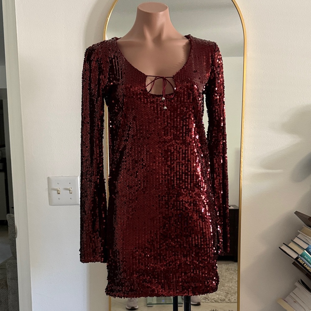 Eloidie burgundy red sequin mini dress
